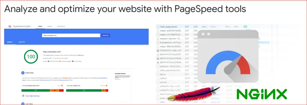 This shows you how to analyze and optimize your website with pagespeed tool.